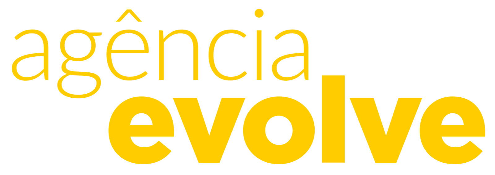 Agência Evolve